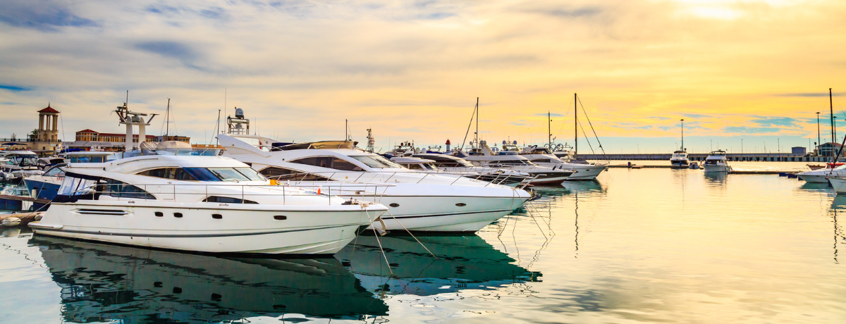 boats docked in a marina